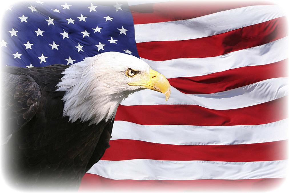 1970 год символ сша. Белоголовый Орлан США. Белоголовый Орлан символ США. Белоголовый Орлан Аляска. Белоголовый Орлан с флагом.