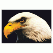 Patriotic USA Decal Sticker