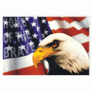 Patriotic USA Decal Sticker