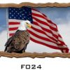 Eagle and Flag RV Mural Decal