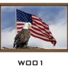 Eagle and Flag RV Mural Decal
