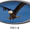 Eagle Water RV Mural Decal