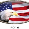 RV Mural American Flag Eagle