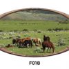 Horse Pasture RV Mural Decal Sticker