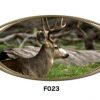 Buck Deer RV Mural Decal Sticker