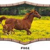 Horse Foal Pasture RV Mural Decal Sticker