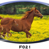 Horse Foal Pasture RV Mural Decal Sticker